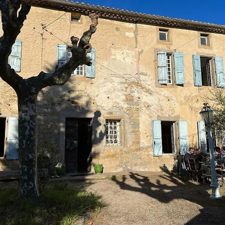 Les 3 Platanes Conilhac-Corbières Exterior foto
