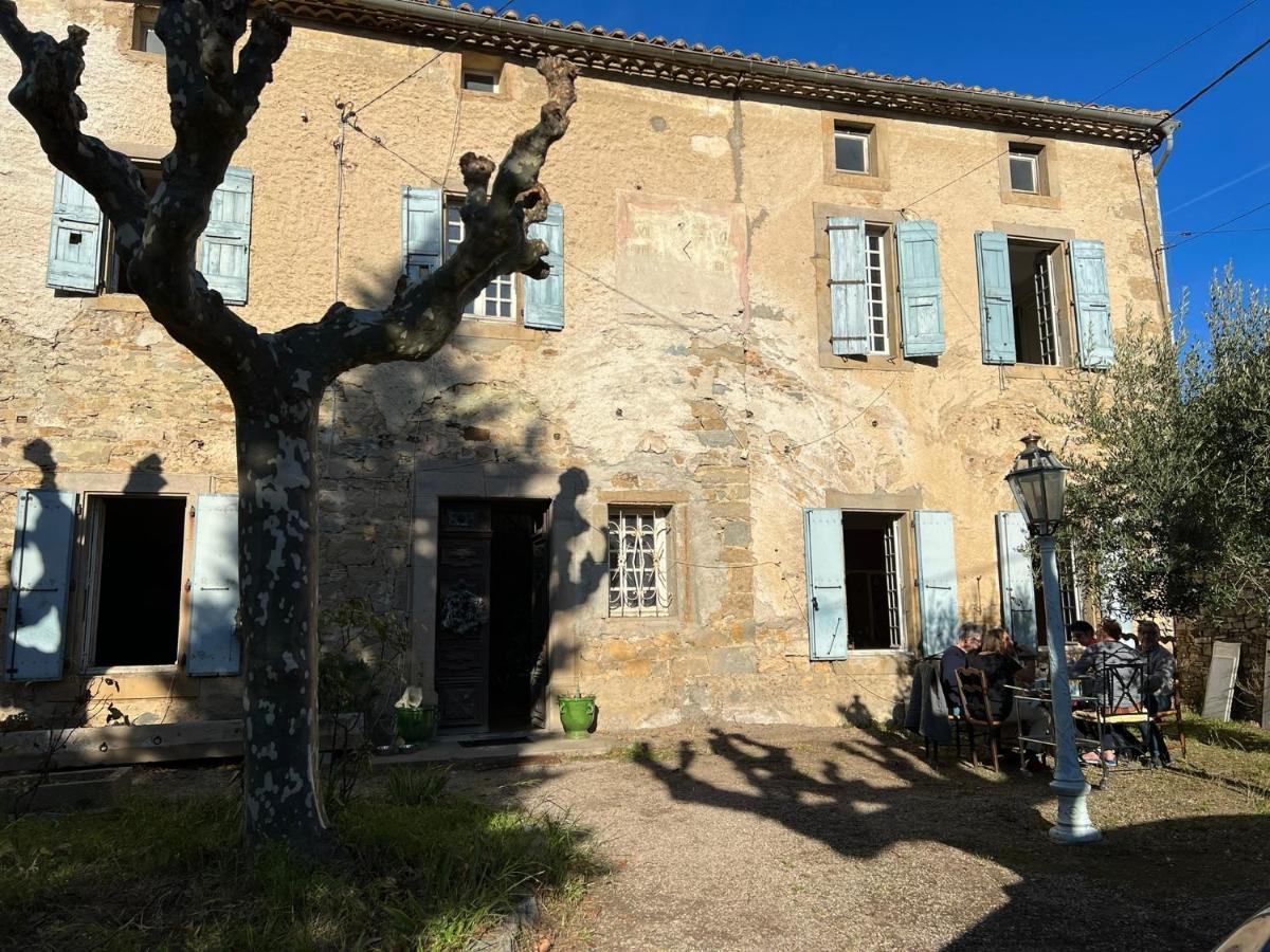 Les 3 Platanes Conilhac-Corbières Exterior foto